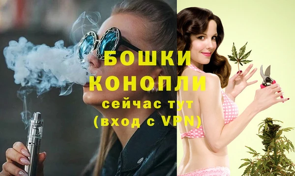 стафф Аркадак