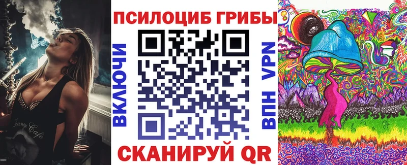 Псилоцибиновые грибы Magic Shrooms  купить  цена  Бавлы 